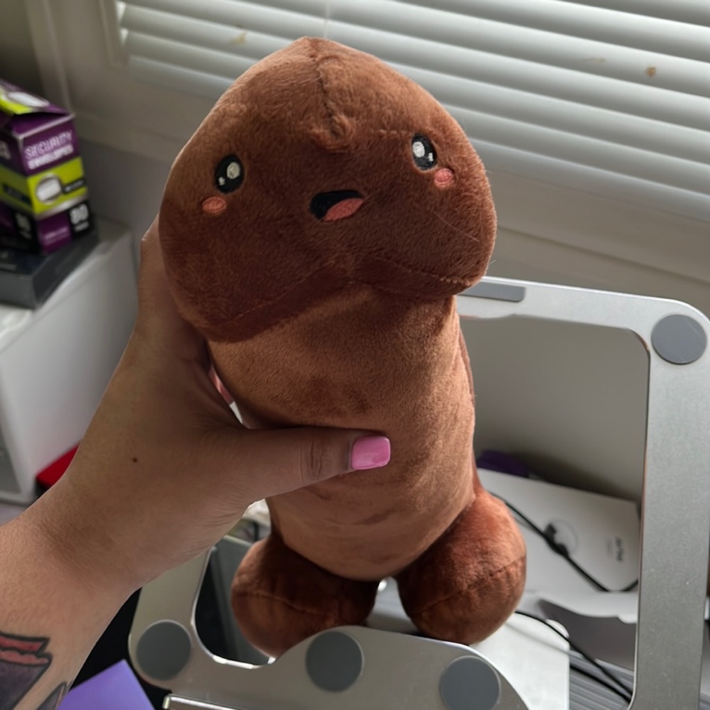 Fun Kawaii Penis Plush Toy Pillow. Used for sexual health education/gag gift.